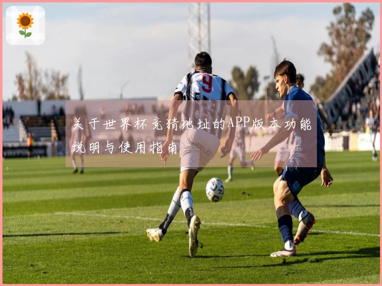关于世界杯竞猜地址的APP版本功能说明与使用指南