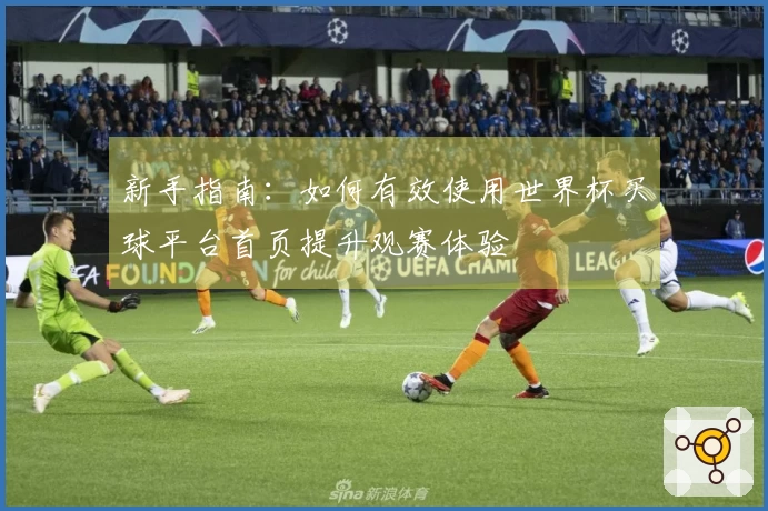 新手指南：如何有效使用世界杯买球平台首页提升观赛体验