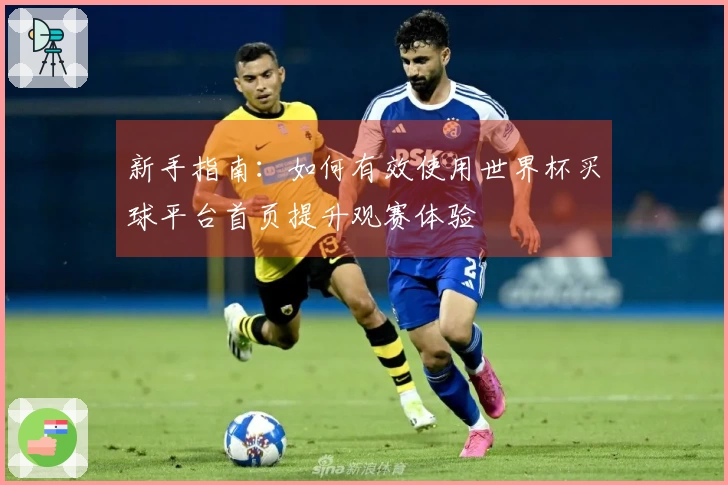 新手指南：如何有效使用世界杯买球平台首页提升观赛体验