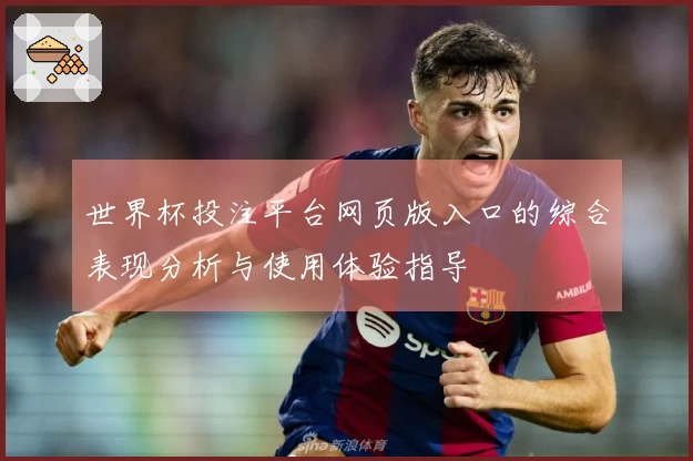 世界杯投注平台网页版入口的综合表现分析与使用体验指导
